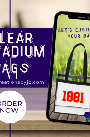 Clear Stadium Bag