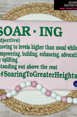 A pink and white sign with the word soar ing