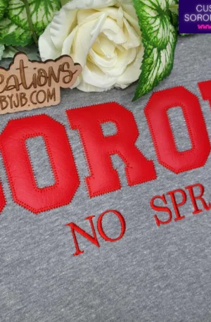 Custom Delta Sigma Theta Embroidered Soror Chapter & Initiation Date Unisex T-Shirt