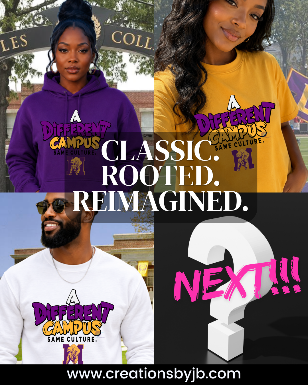 Custom A Different Campus Same Culture | A Different World Inspired Shirt | Hillman College HBCU Alumni Tee